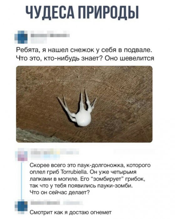 Забавные картинки