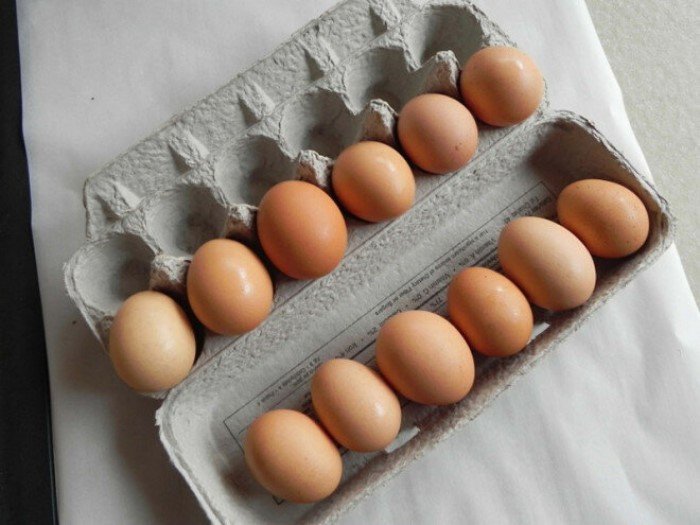 Китайцы подделывают куриные яйца Китайцы подделывают куриные яйца