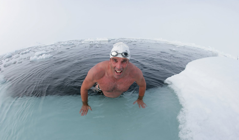 История появления моржей История появления моржей