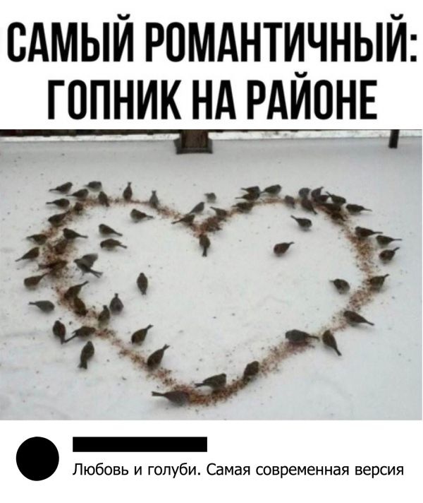 Юмор и шутки из социальных сетей