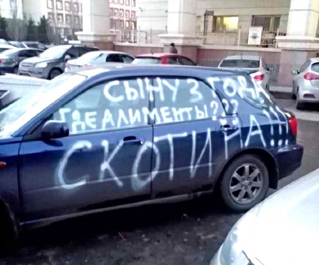 Прикольные картинки