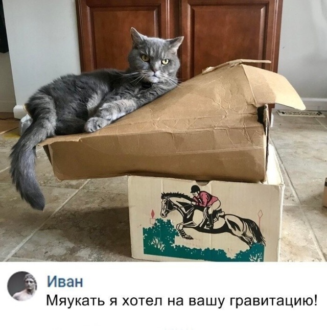 Юмор и комментарии из социальных сетей