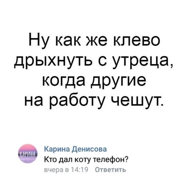 Юмор и комментарии из социальных сетей