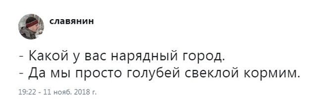 Высказывания и комментарии из социальных сетей