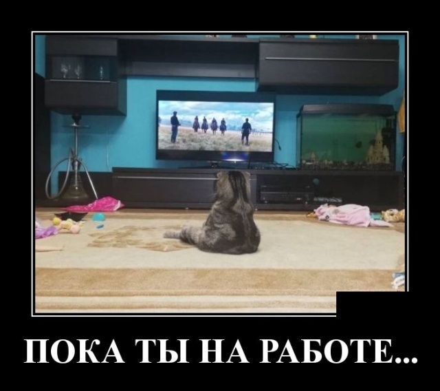 Демотиваторы