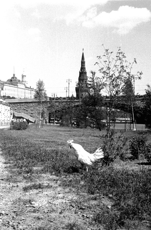 Архивные фотографии и события из прошлого Архивные фотографии и события из прошлого