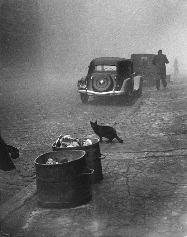 Архивные фотографии и события из прошлого Архивные фотографии и события из прошлого