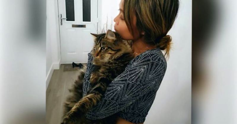 В Британии пожарные спасли женщину, застрявшую на дереве вместе с котом В Британии пожарные спасли женщину, застрявшую на дереве вместе с котом