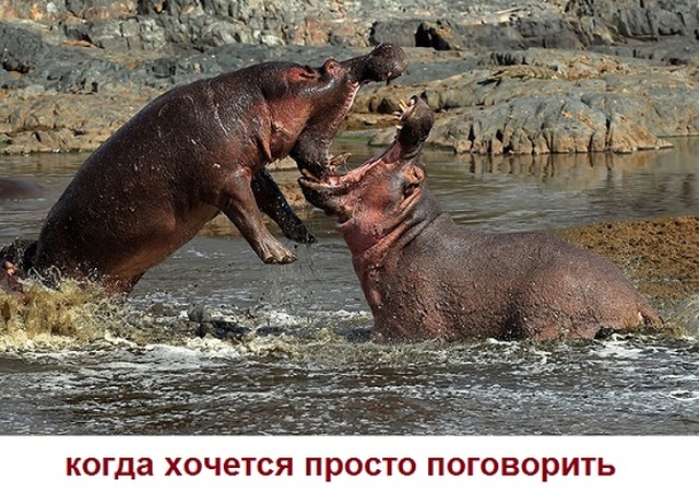 Простой юмор с просторов сети