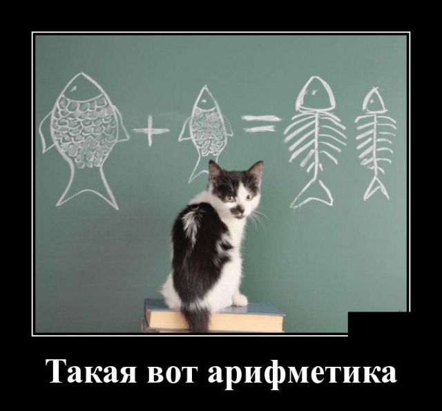 Демотиваторы
