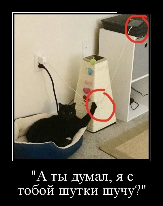 Демотиваторы