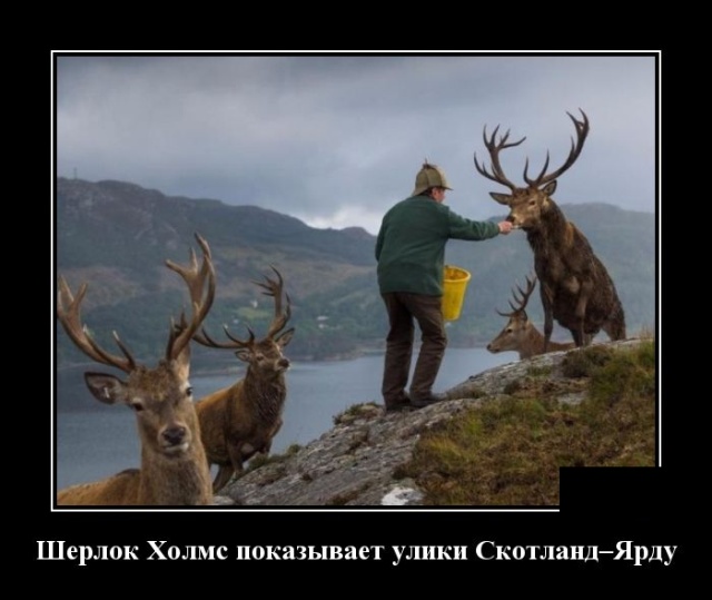 Демотиваторы