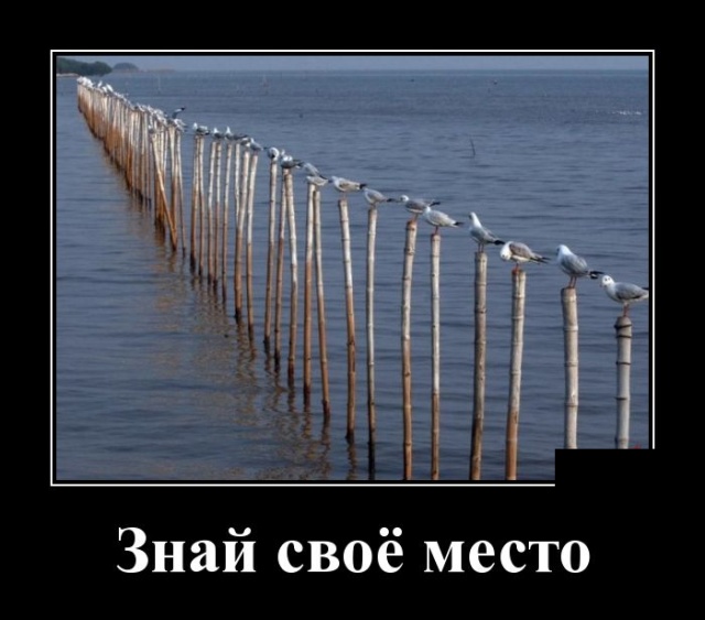 Демотиваторы