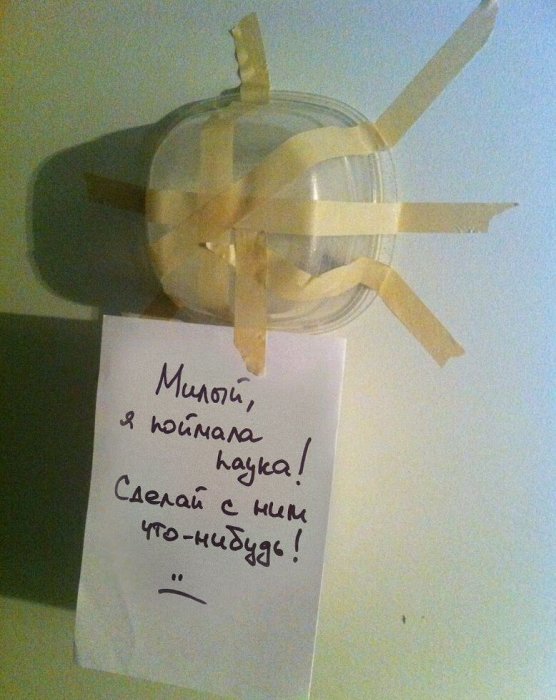 Забавные картинки