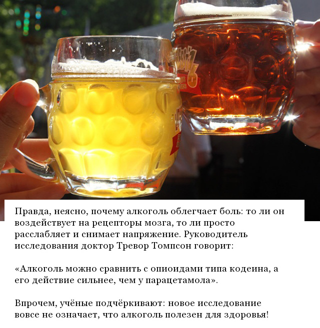 Результаты исследования: Пиво - отличное обезболивающее