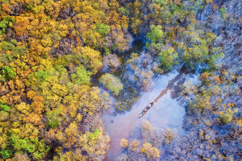 Победители конкурса фотографий, сделанных дронами Победители конкурса фотографий, сделанных дронами
