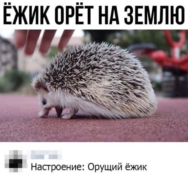 Простой юмор и шутки с просторов сети