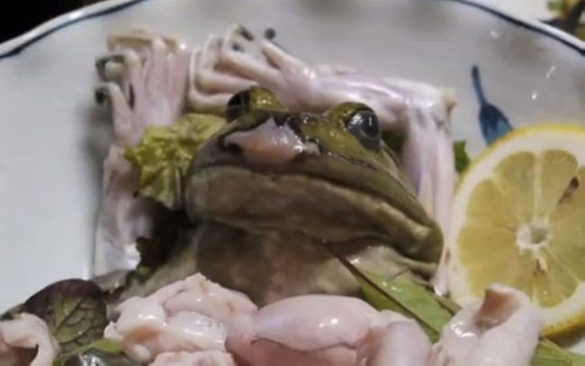 Блюда с живыми животными Блюда с живыми животными