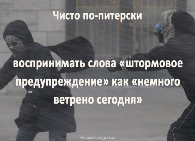 Юмор и шутки про Санкт-Петербург
