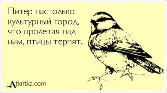 Юмор и шутки про Санкт-Петербург
