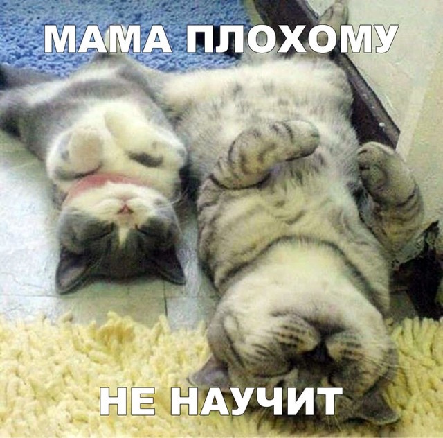 Шутки и юмор с просторов социальных сетей