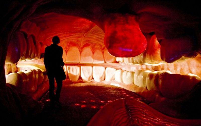 6 самых шокирующих анатомических музеев мира 6 самых шокирующих анатомических музеев мира