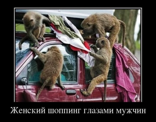 Демотиваторы