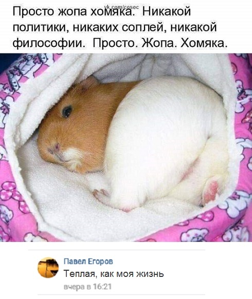 Комментарии и высказывания из социальных сетей