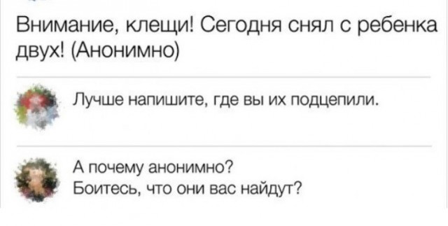 Комментарии и высказывания из социальных сетей