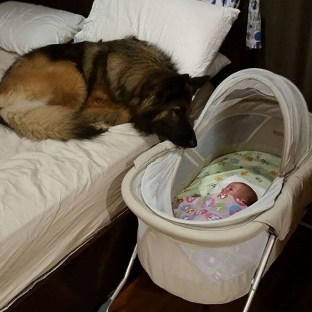 Удивительно красивые фотографии вместо тысячи слов