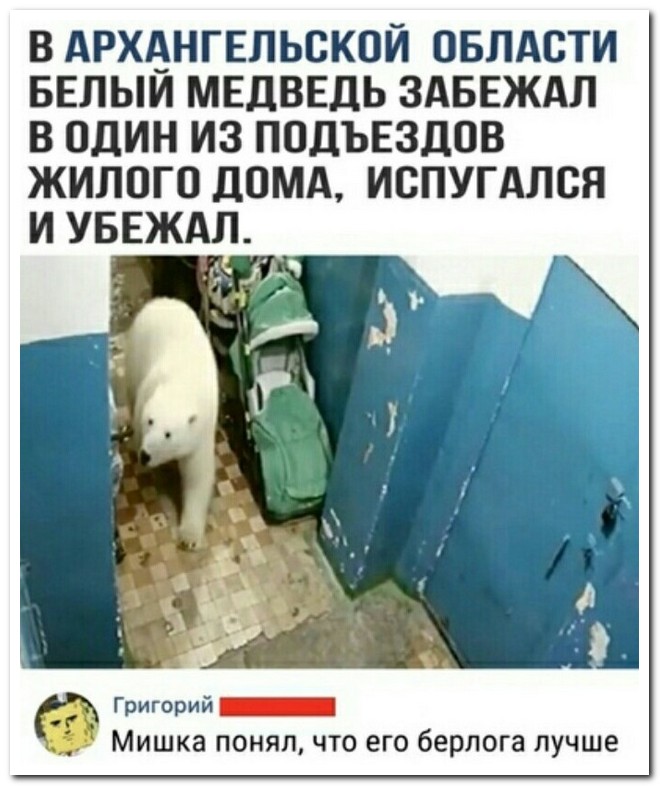 Забавные комментарии из социальных сетей