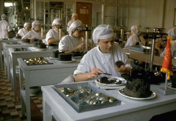 Как в СССР добывали черную икру Как в СССР добывали черную икру