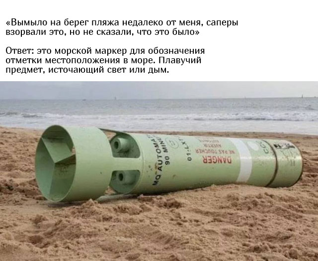 Люди спрашивают у пользователей сети: "Что это такое?"