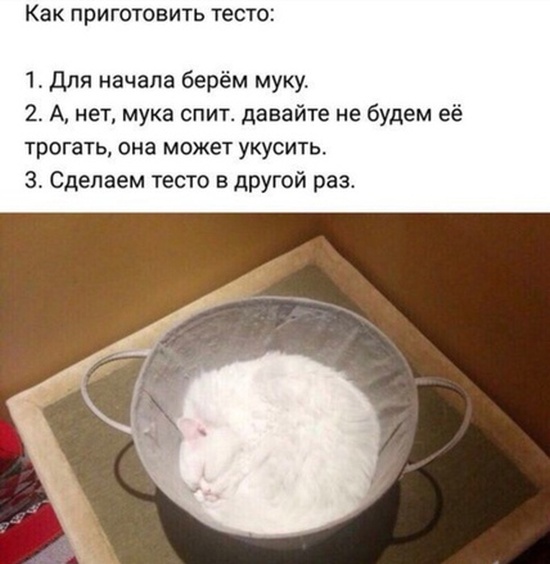 Простой юмор с просторов сети