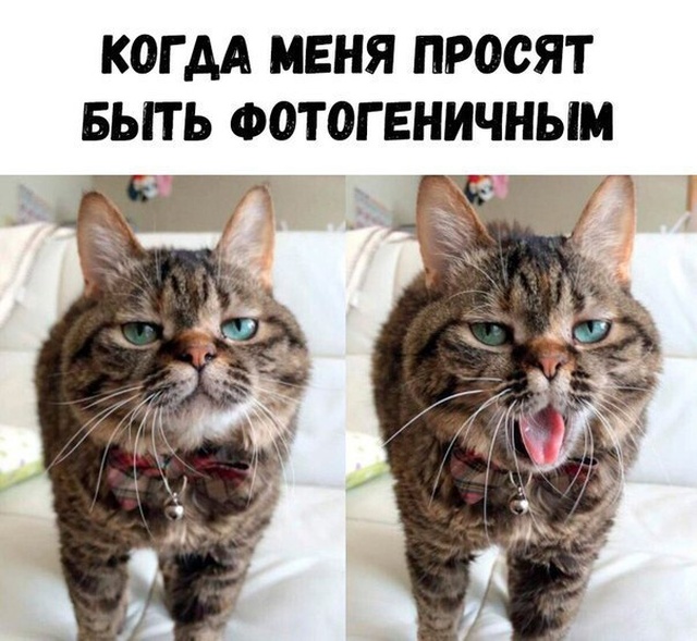 Простой юмор с просторов сети