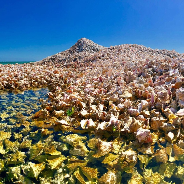 Необычный остров в Карибском море Необычный остров в Карибском море