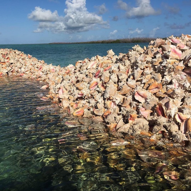 Необычный остров в Карибском море Необычный остров в Карибском море
