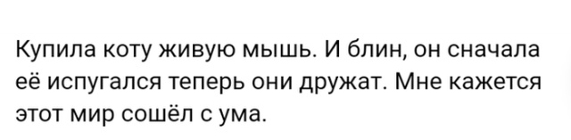 Истории людей с просторов сети Истории людей с просторов сети