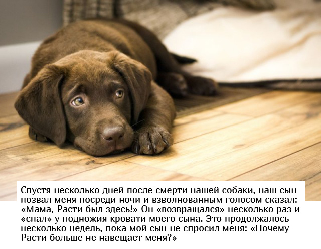 Родители рассказали о пугающих высказываниях своих детей Родители рассказали о пугающих высказываниях своих детей