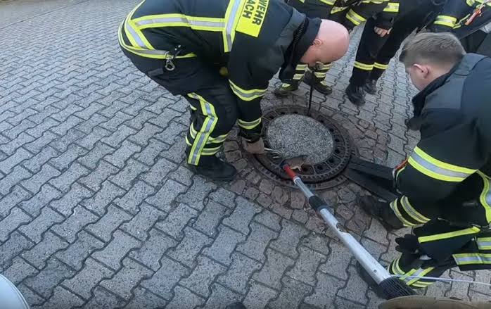 Германские спасатели освободили крысу с лишним весом, застрявшую в отверстии люка Германские спасатели освободили крысу с лишним весом, застрявшую в отверстии люка