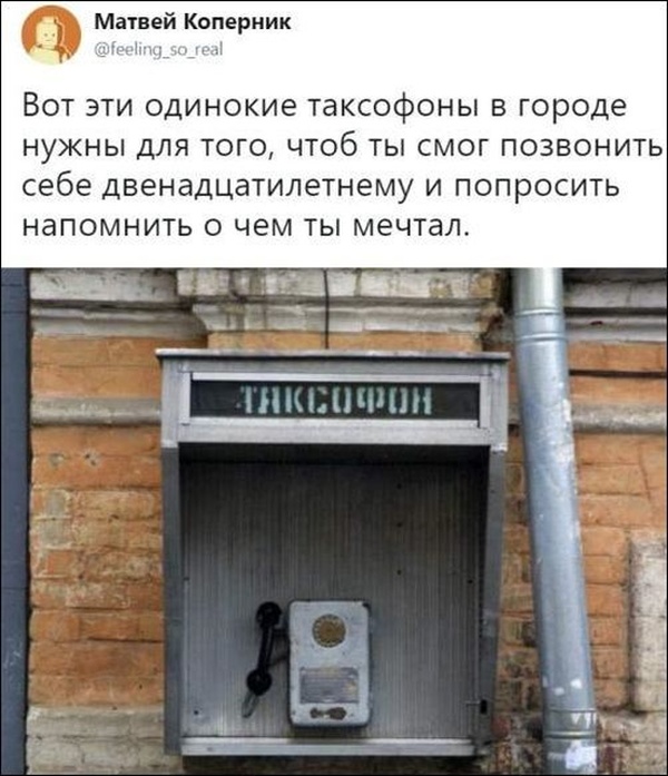 Шутки и высказывания из социальной сети