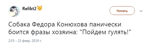 Шутки и высказывания из социальной сети