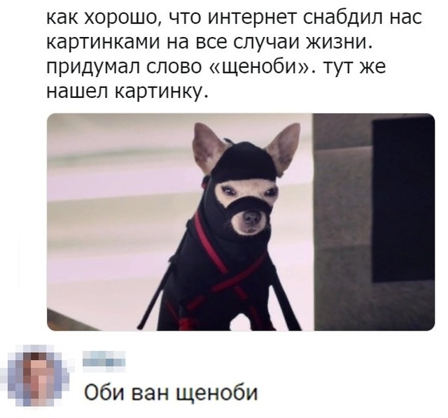 Юмор и шутки с просторов сети