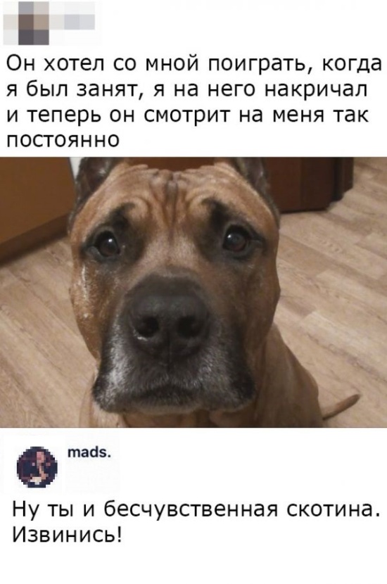 Юмор и шутки с просторов сети