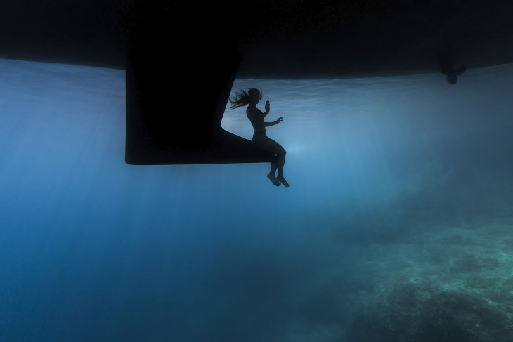 Победители Underwater Photographer of the Year 2019 Победители Underwater Photographer of the Year 2019