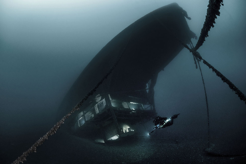 Победители Underwater Photographer of the Year 2019 Победители Underwater Photographer of the Year 2019