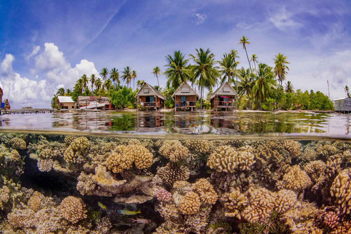 Победители конкурса Underwater Photographer of the Year 2019 Победители конкурса Underwater Photographer of the Year 2019