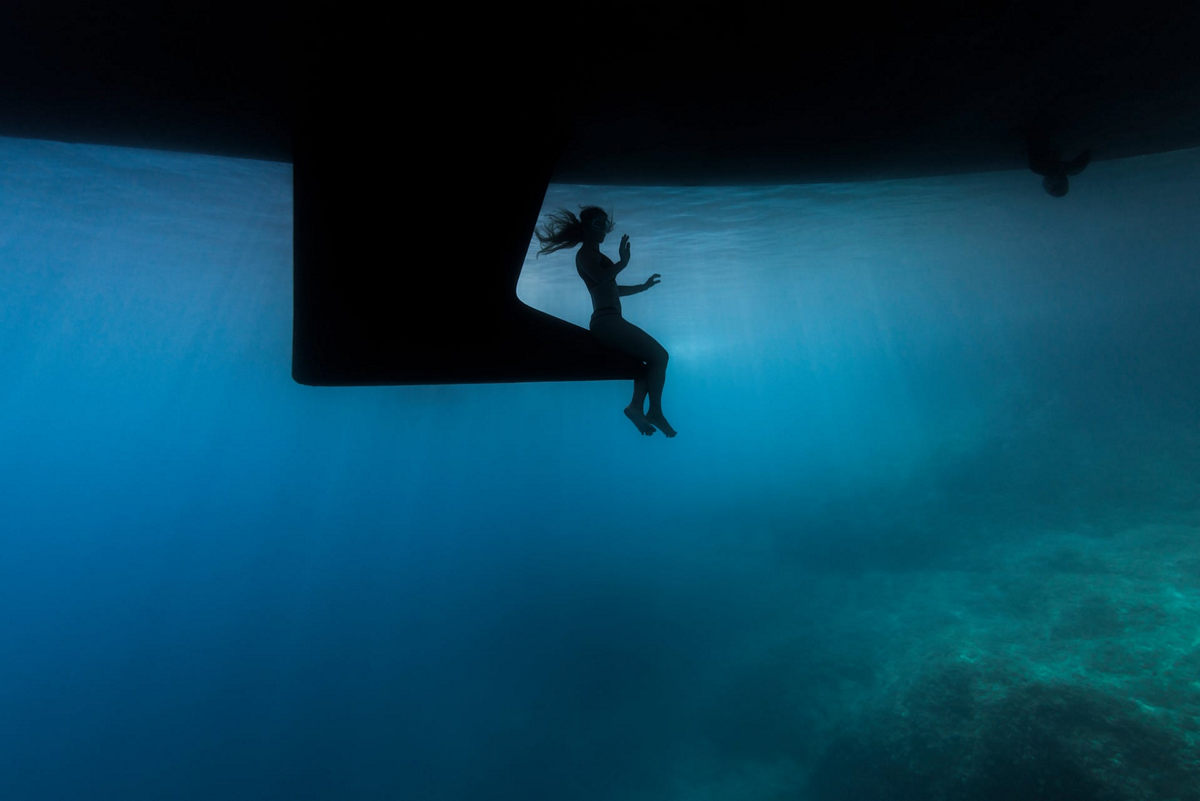 Победители конкурса Underwater Photographer of the Year 2019 Победители конкурса Underwater Photographer of the Year 2019