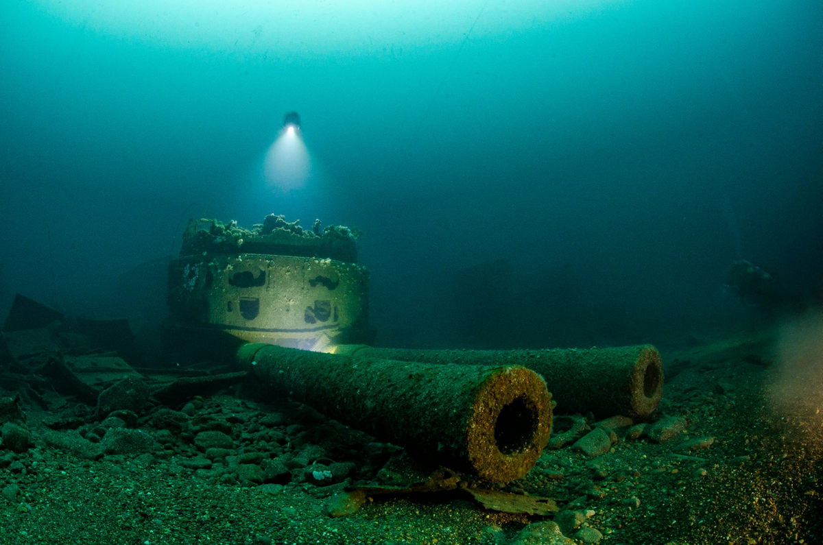 Победители конкурса Underwater Photographer of the Year 2019 Победители конкурса Underwater Photographer of the Year 2019