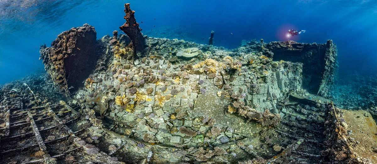 Победители конкурса Underwater Photographer of the Year 2019 Победители конкурса Underwater Photographer of the Year 2019